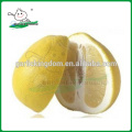 fresh pomelo from china/honey pomelo/China Grapefruit Pomelo